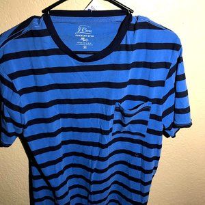 J Crew Authentic Blue Stripe Shirt